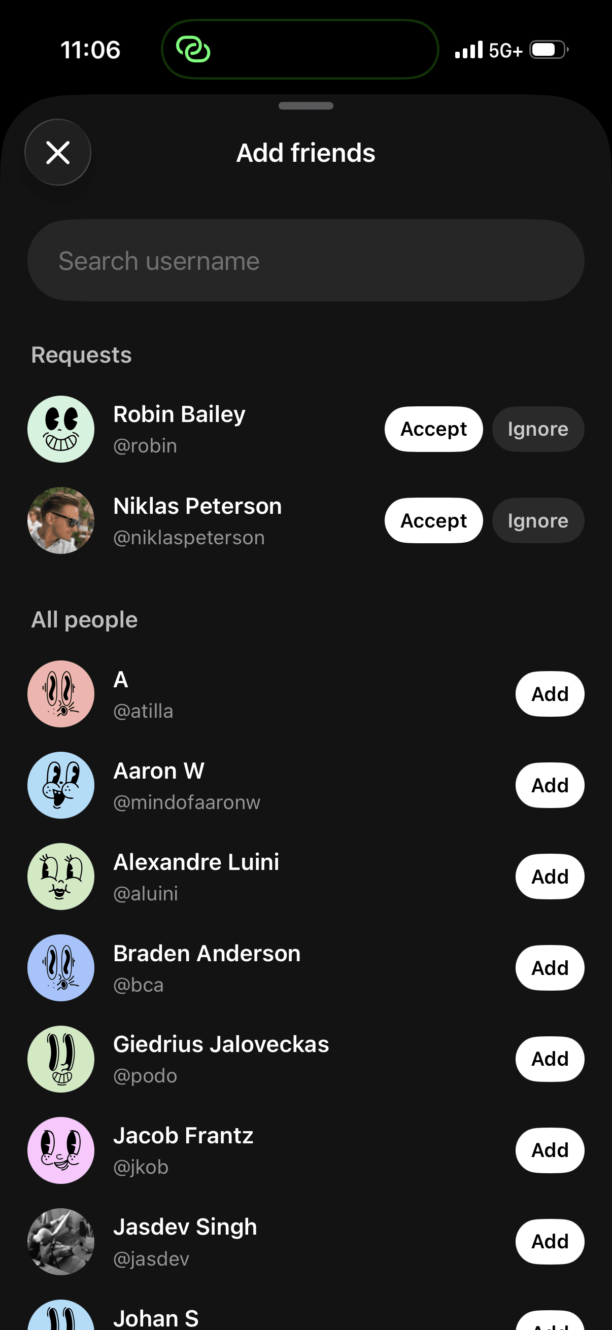 Loupe friend requests screen